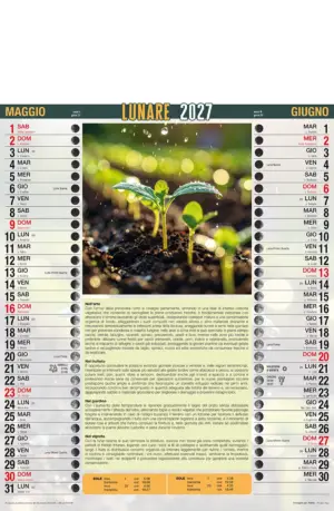 Art.221-Lunario-3