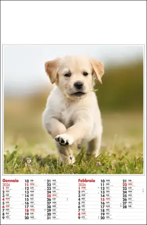 Bimestrale Cani e Gatti Art. 202