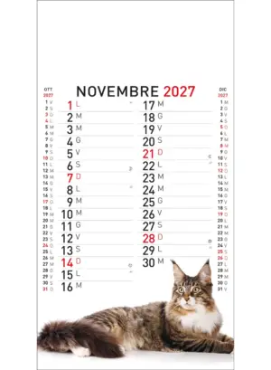22A_OlandesinoAnimali-11 22A_OlandesinoAnimali-11