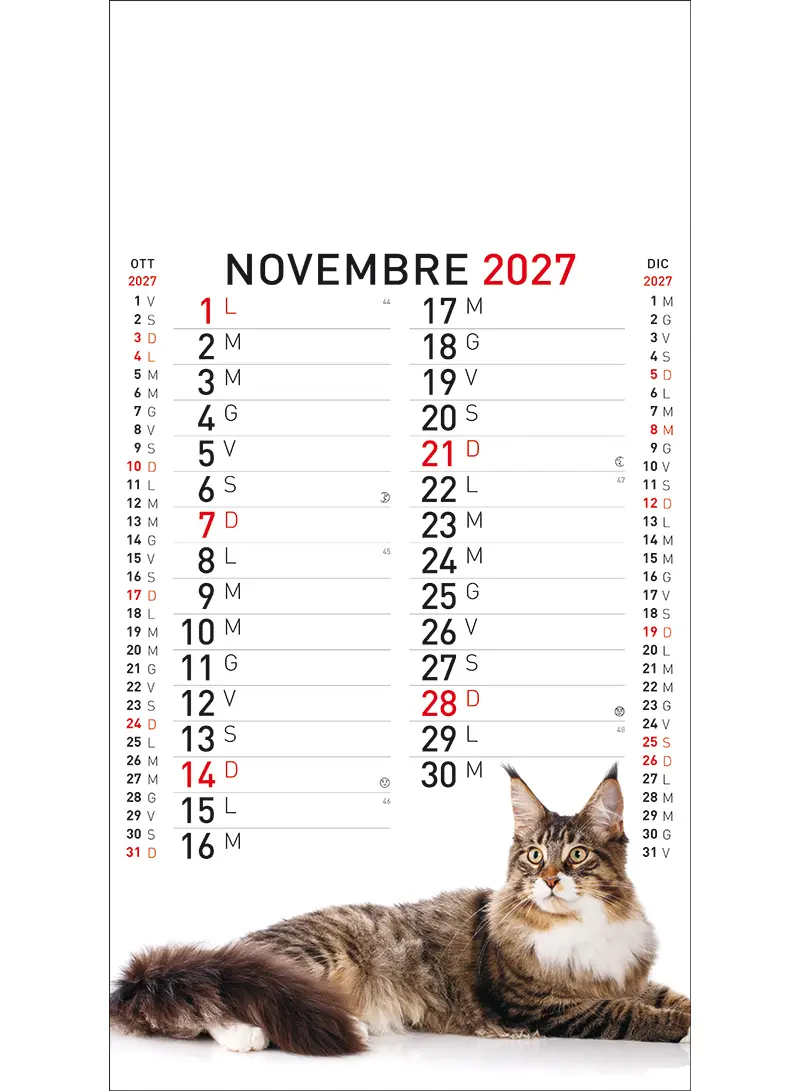 22A_OlandesinoAnimali-11 22A_OlandesinoAnimali-11