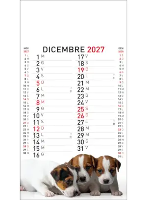 22A_OlandesinoAnimali-12 22A_OlandesinoAnimali-12