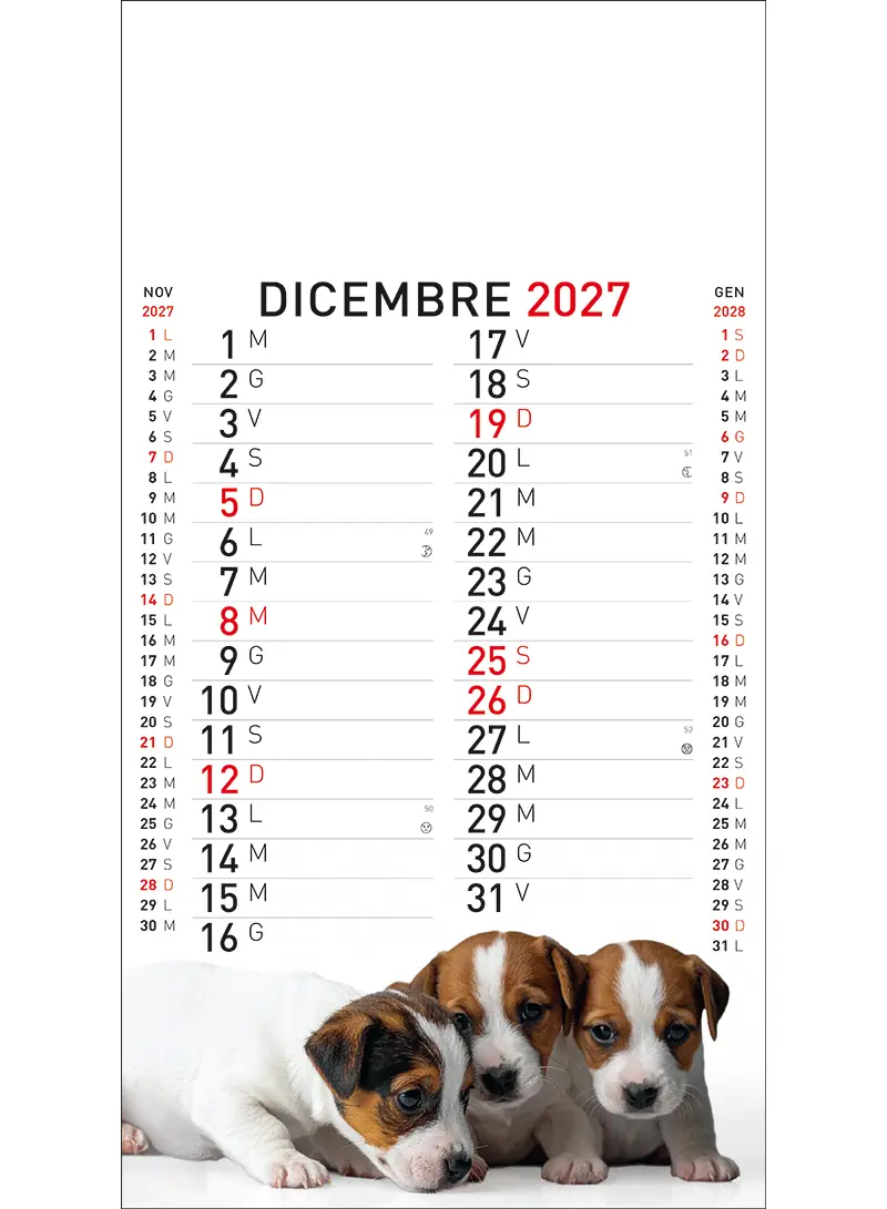 22A_OlandesinoAnimali-12 22A_OlandesinoAnimali-12