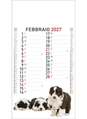 22A_OlandesinoAnimali-2 22A_OlandesinoAnimali-2