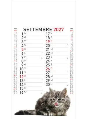 22A_OlandesinoAnimali-9 22A_OlandesinoAnimali-9