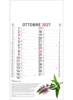 22B_OlandesinoBotanica-10