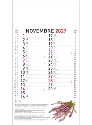 22B_OlandesinoBotanica-11