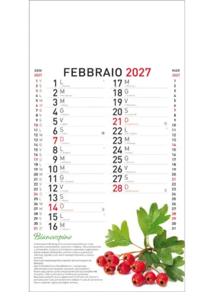 22B_OlandesinoBotanica-2