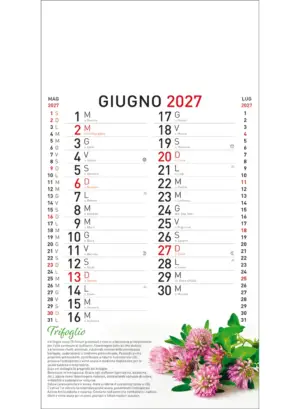 22B_OlandesinoBotanica-6