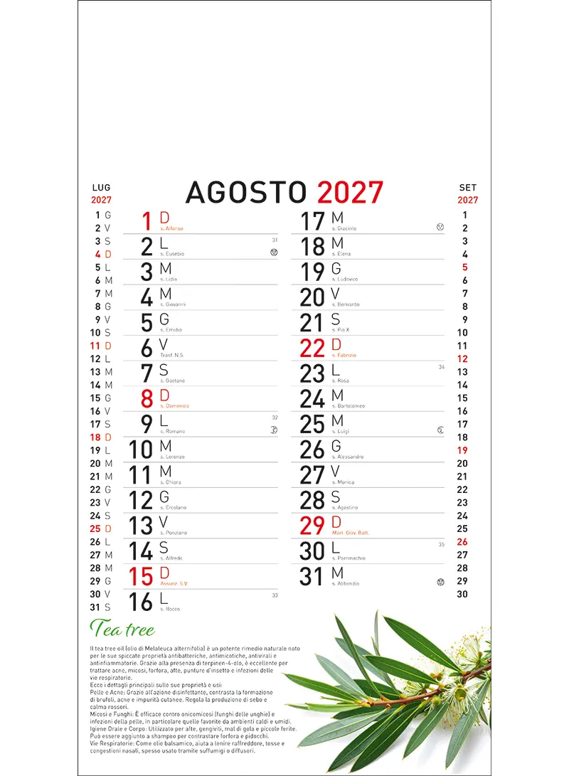22B_OlandesinoBotanica-8