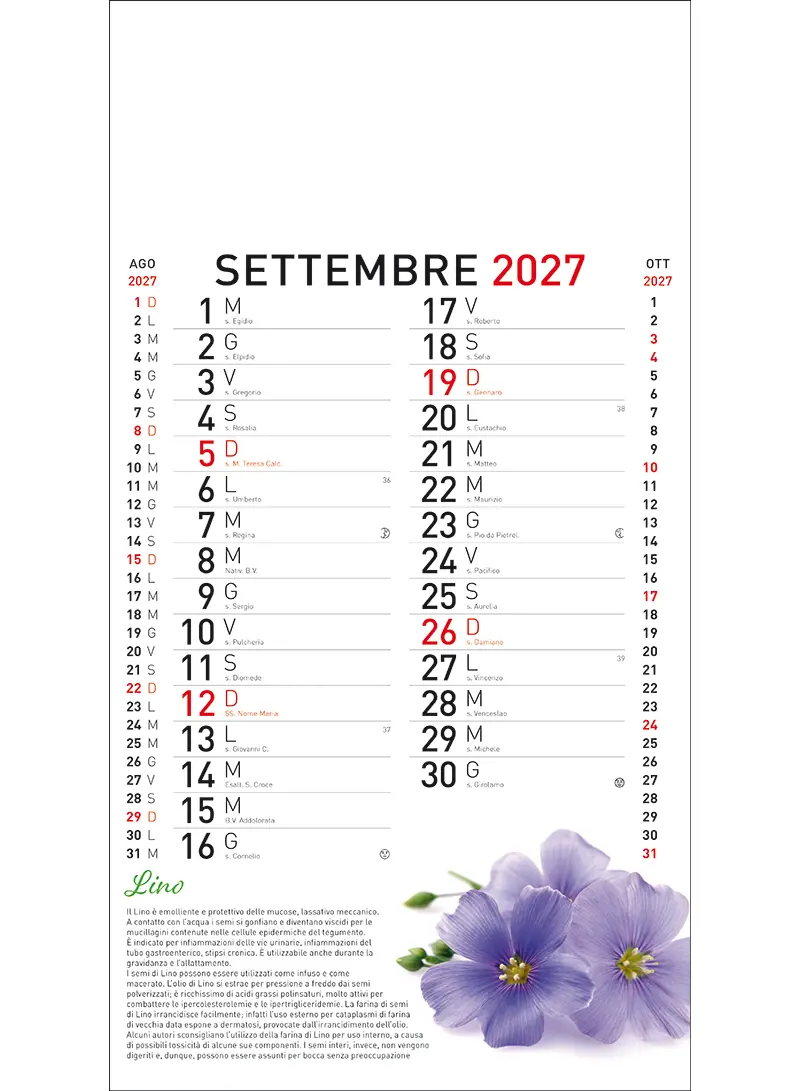 22B_OlandesinoBotanica-9