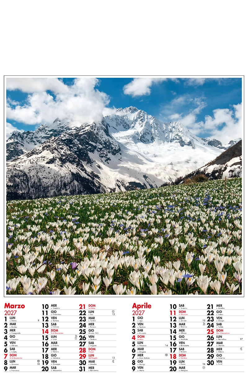 Art.201-Montagne-2