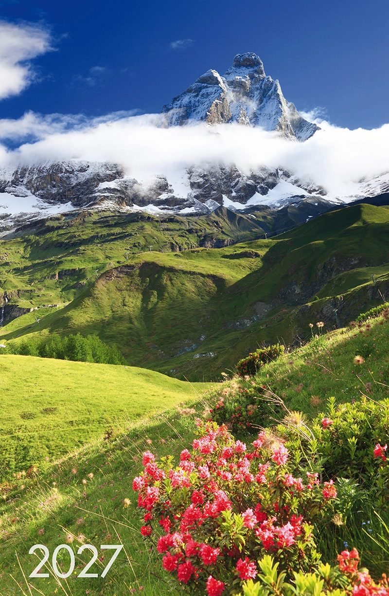 Art.201-Montagne_cop