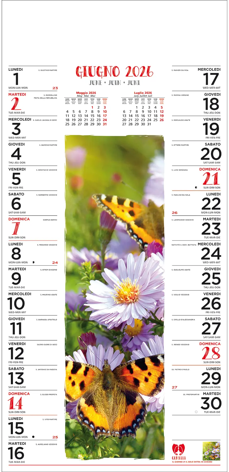 Art.41_2026-7