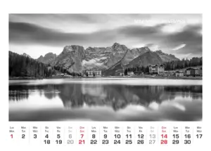 Art.75_2027-12