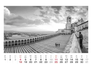 Art.75_Fronte_2026-11
