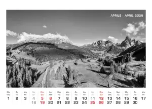 Art.75_Fronte_2026-5