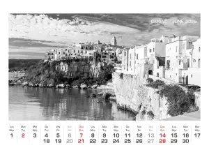 Art.75_Fronte_2026-7