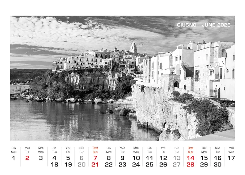Art.75_Fronte_2026-7