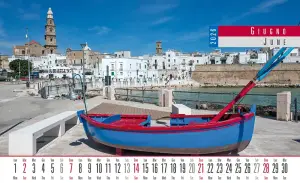 Art.79_Fronte_2026-7