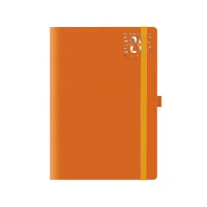 MatraElastico_Arancio