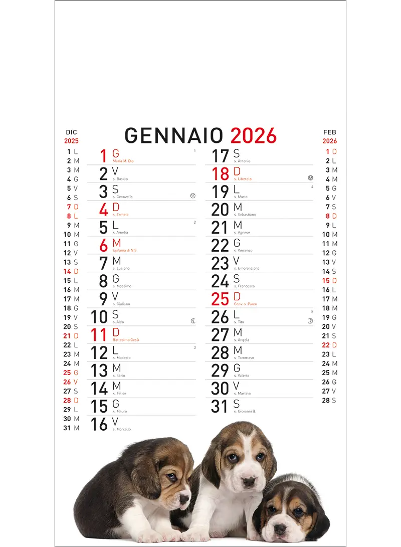 22A_OlandesinoAnimali-1
