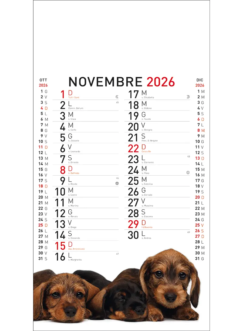 22A_OlandesinoAnimali-11