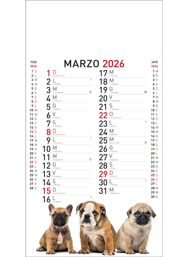 22A_OlandesinoAnimali-3
