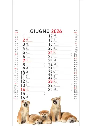 22A_OlandesinoAnimali-6
