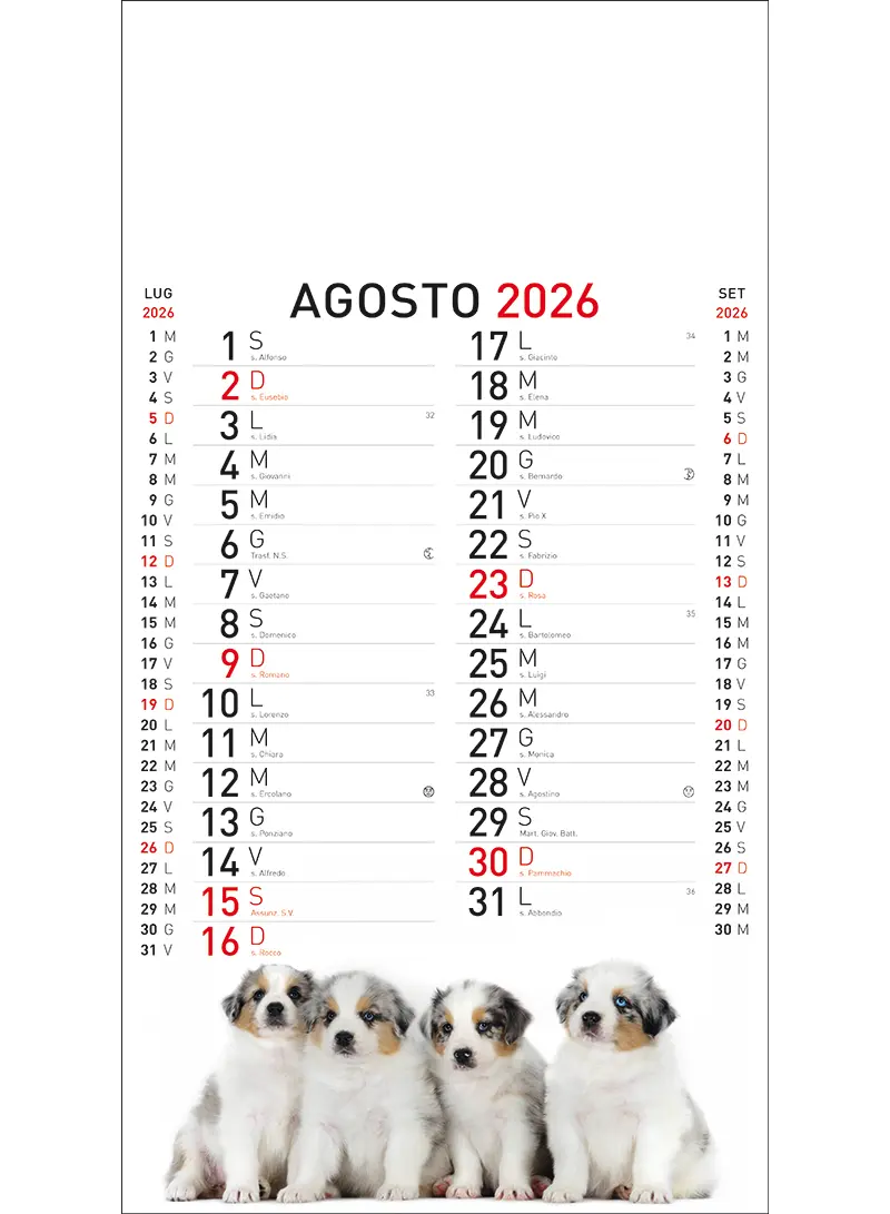 22A_OlandesinoAnimali-8