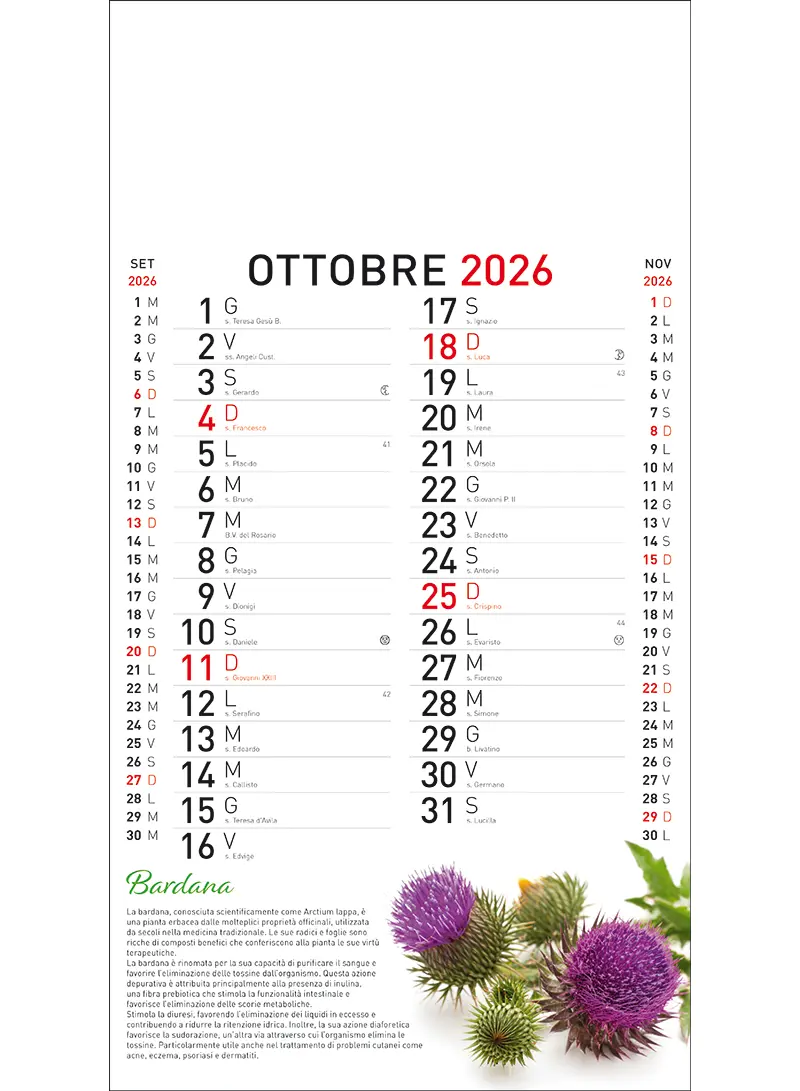22B_OlandesinoBotanica-10
