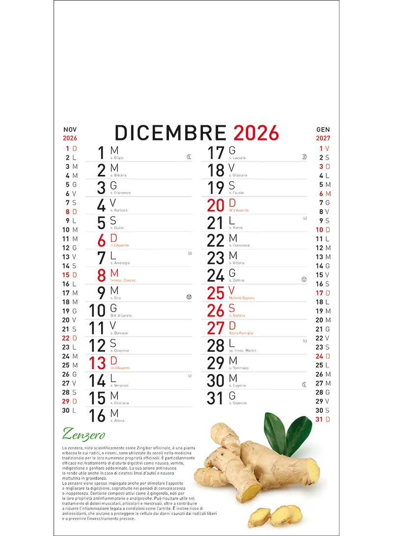 22B_OlandesinoBotanica-12