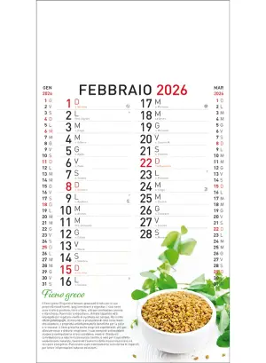 22B_OlandesinoBotanica-2