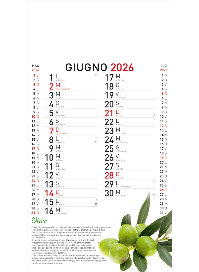 22B_OlandesinoBotanica-6