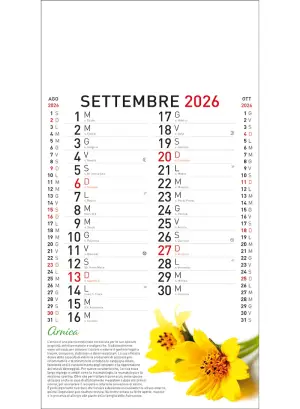 22B_OlandesinoBotanica-9